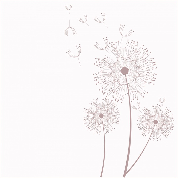 민들레 꽃