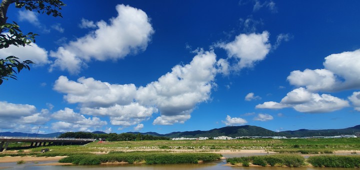 울산