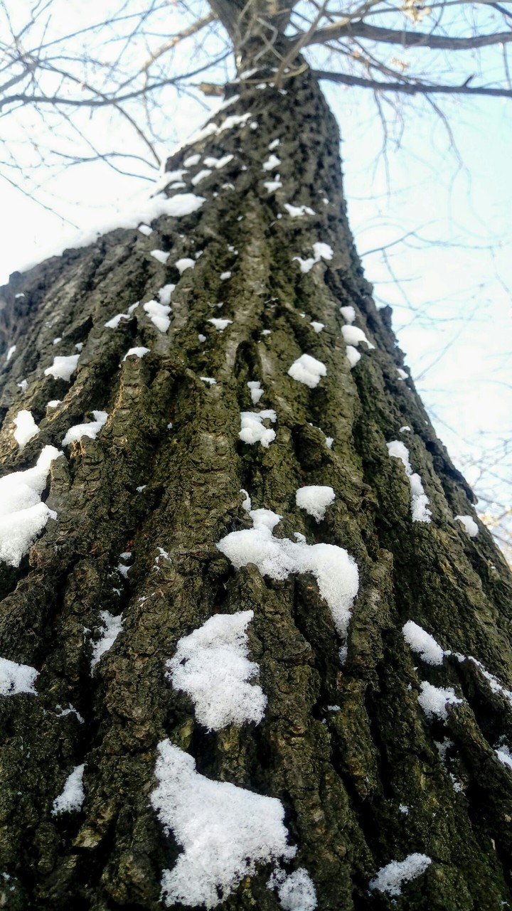 зимаа❄