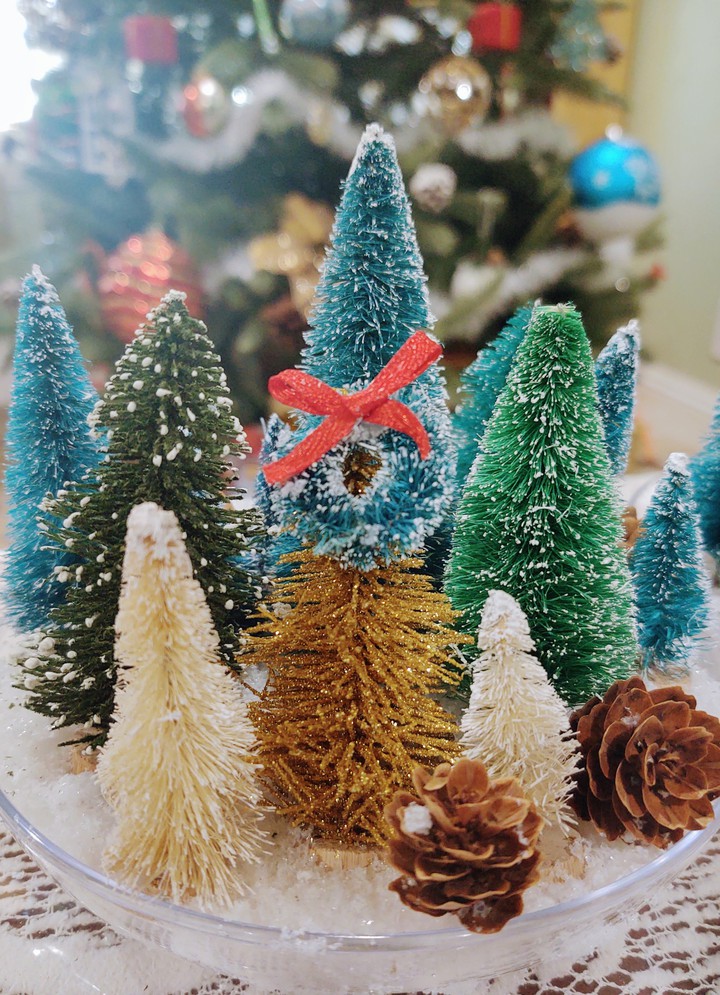 It's just us Christmas Trees