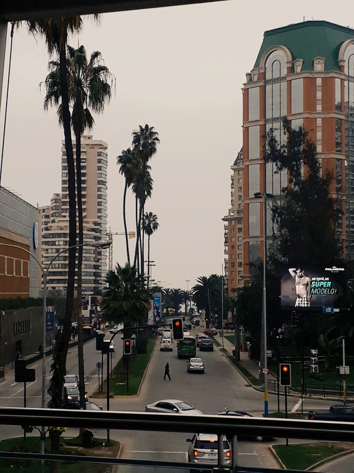 viña del mar