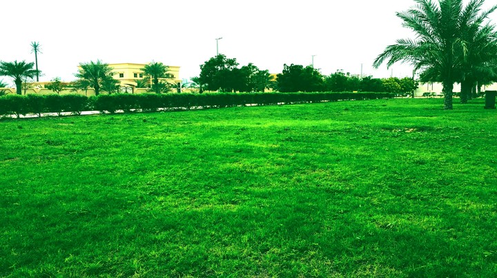 the green land