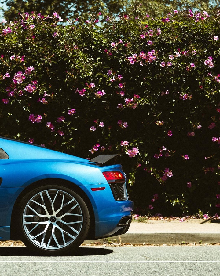 guess the car 
