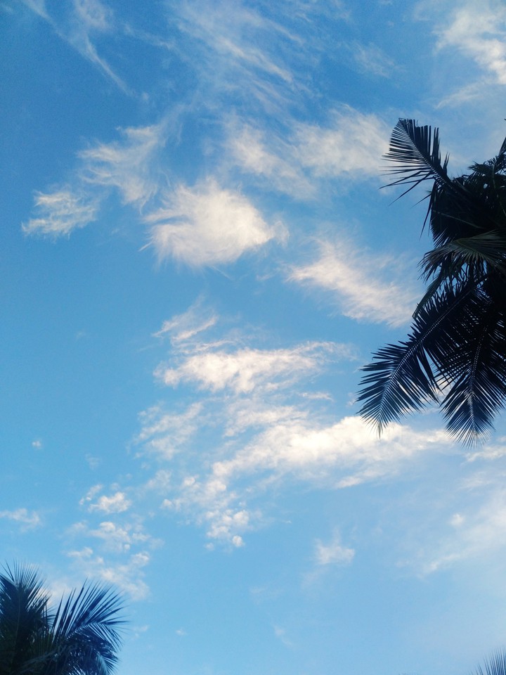 nature