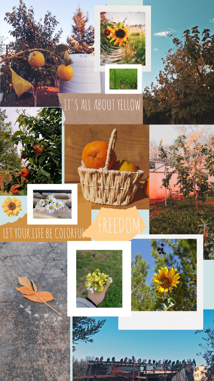 new backgrounds here
