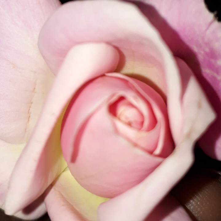 pinkyy
