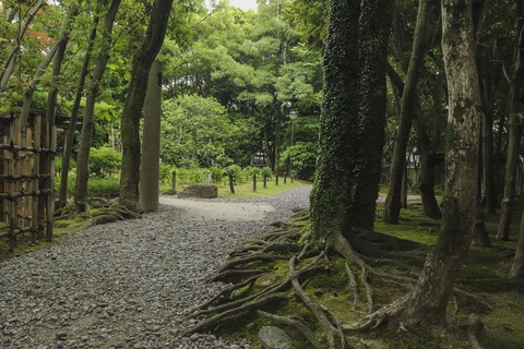 Japanese garden