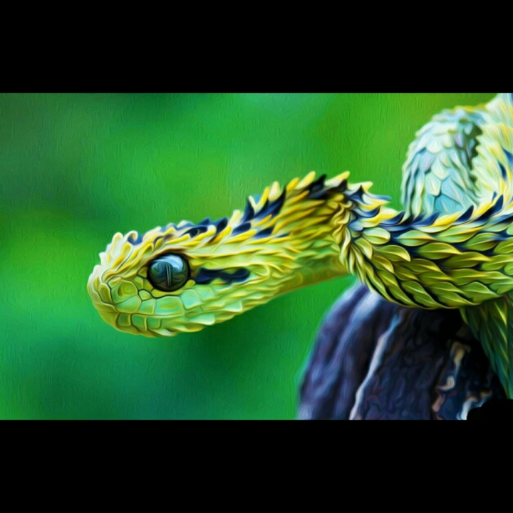 snake