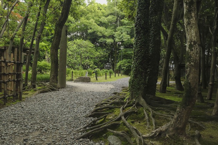 Japanese garden