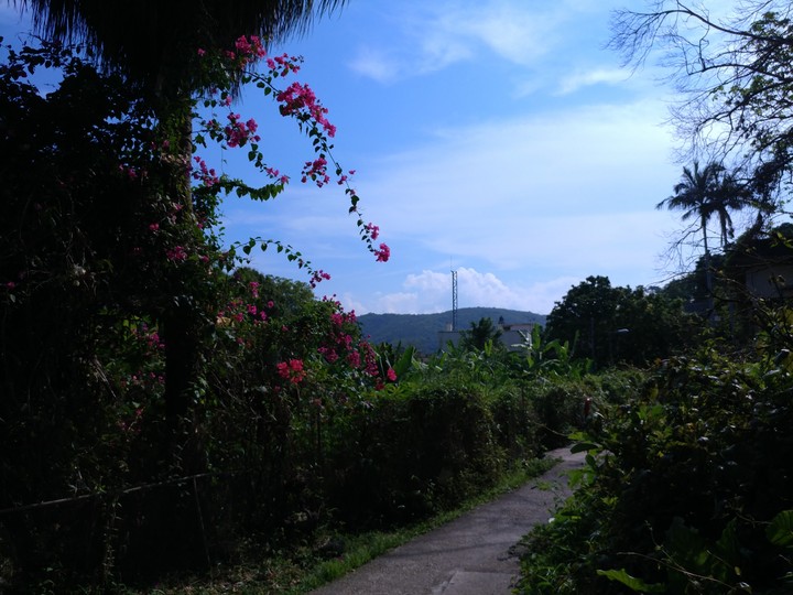 secret garden