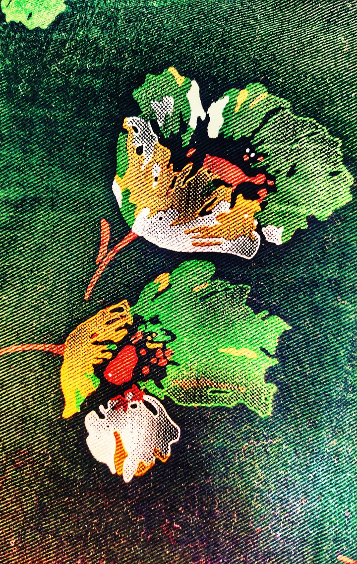 Green Taxture