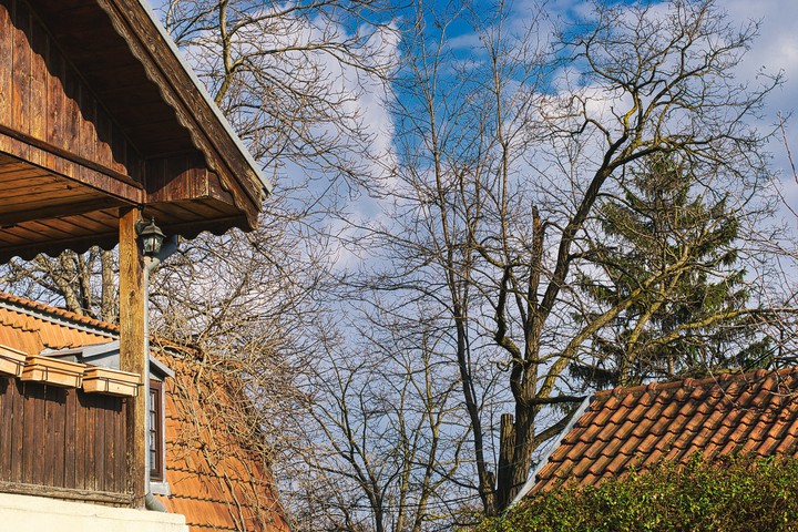 Houses