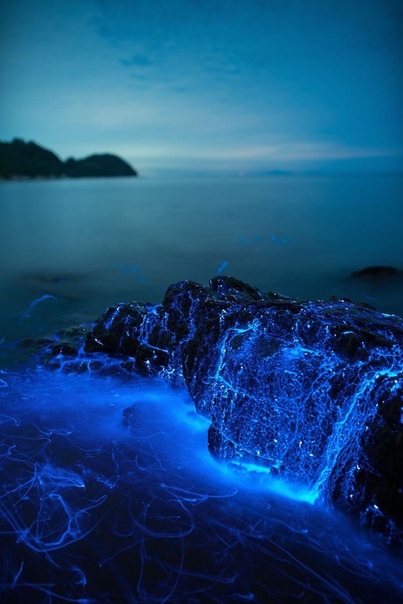 вода