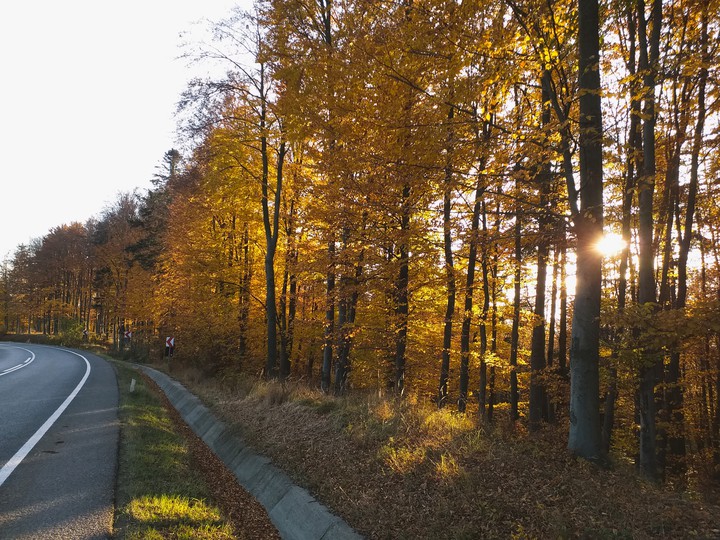 autumn