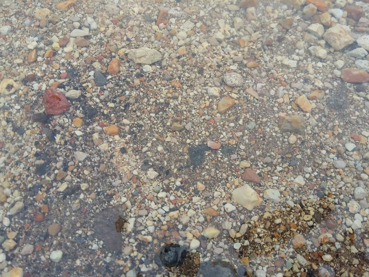Cold River
