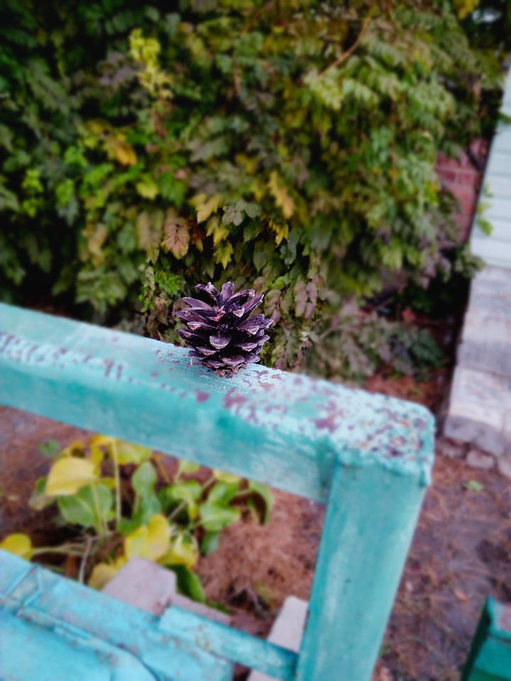 It is just cone,but i think she realy beautiful