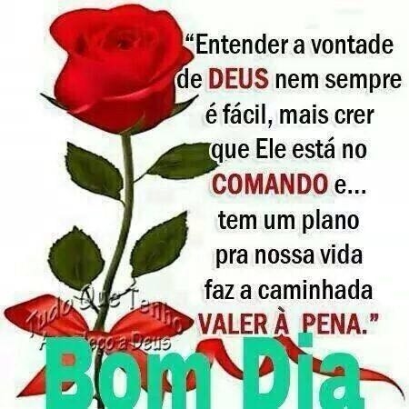 bom dia amigos