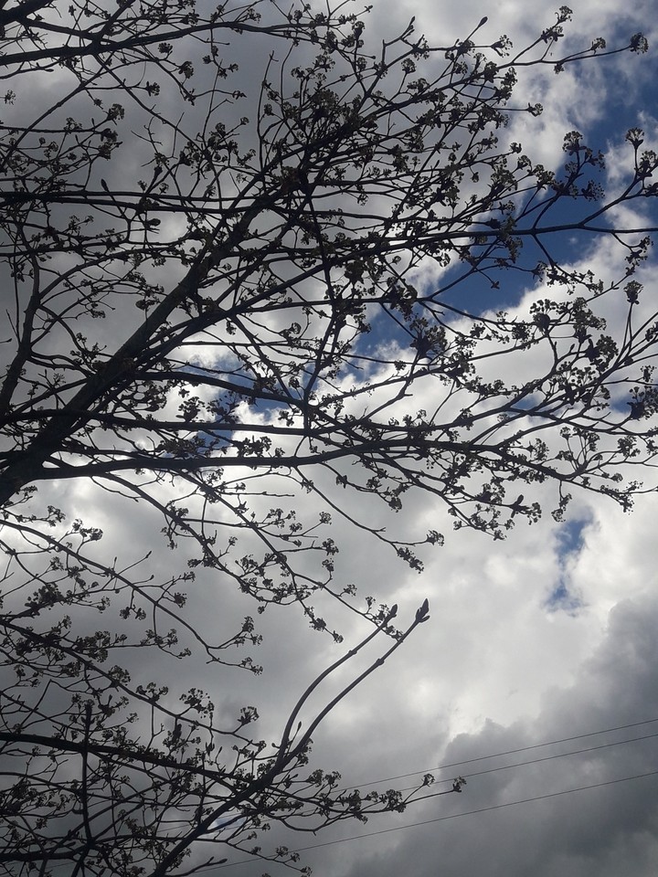 Simple Cloudy Sky