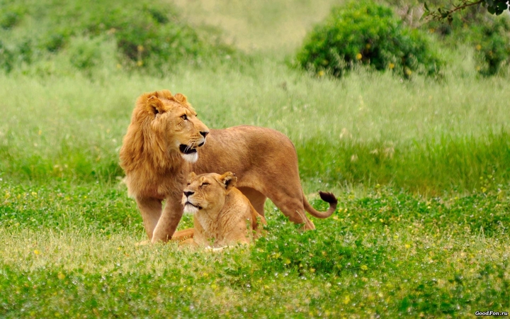 beautiful picture...