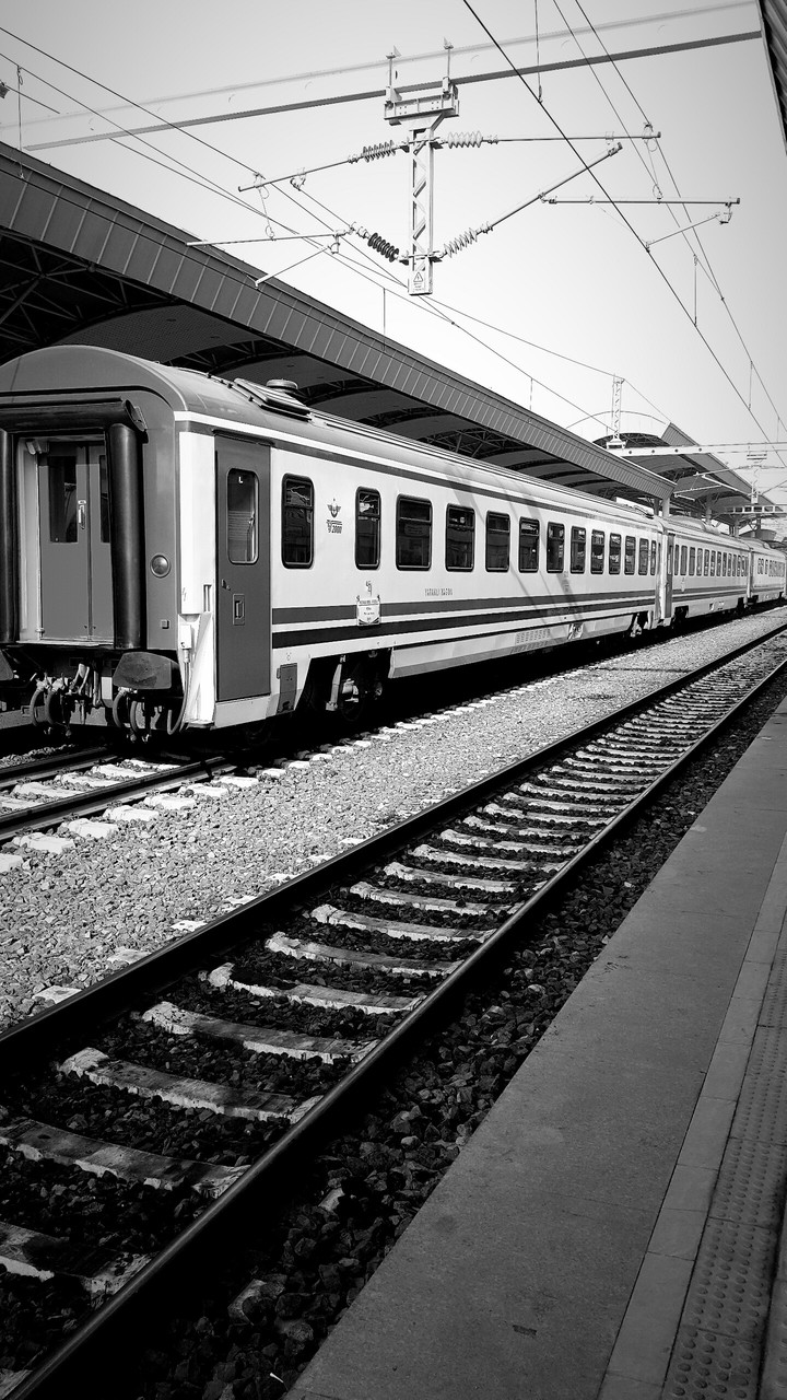 Fast Train 