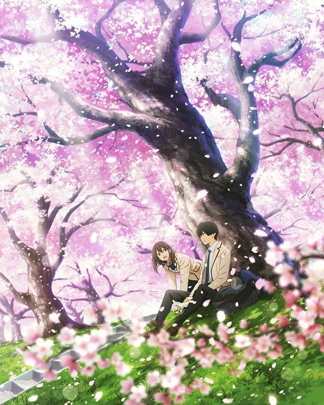 kimi no shizou wo tabetai