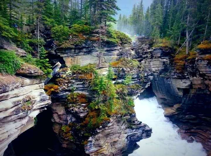 Amazing Nature