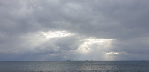 済州 story .~ 20210108