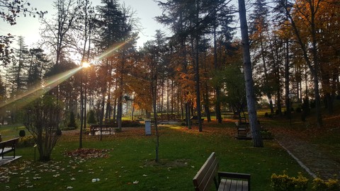 A Good Day in Nature
