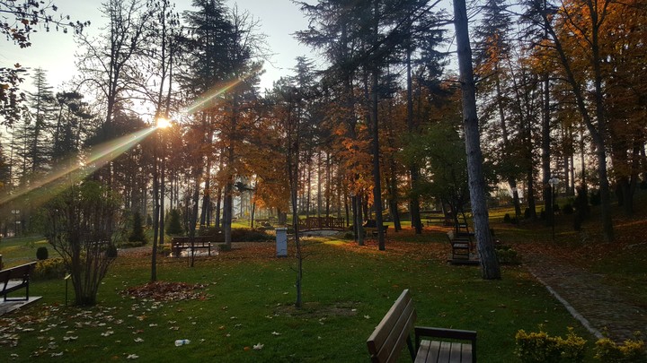 A Good Day in Nature