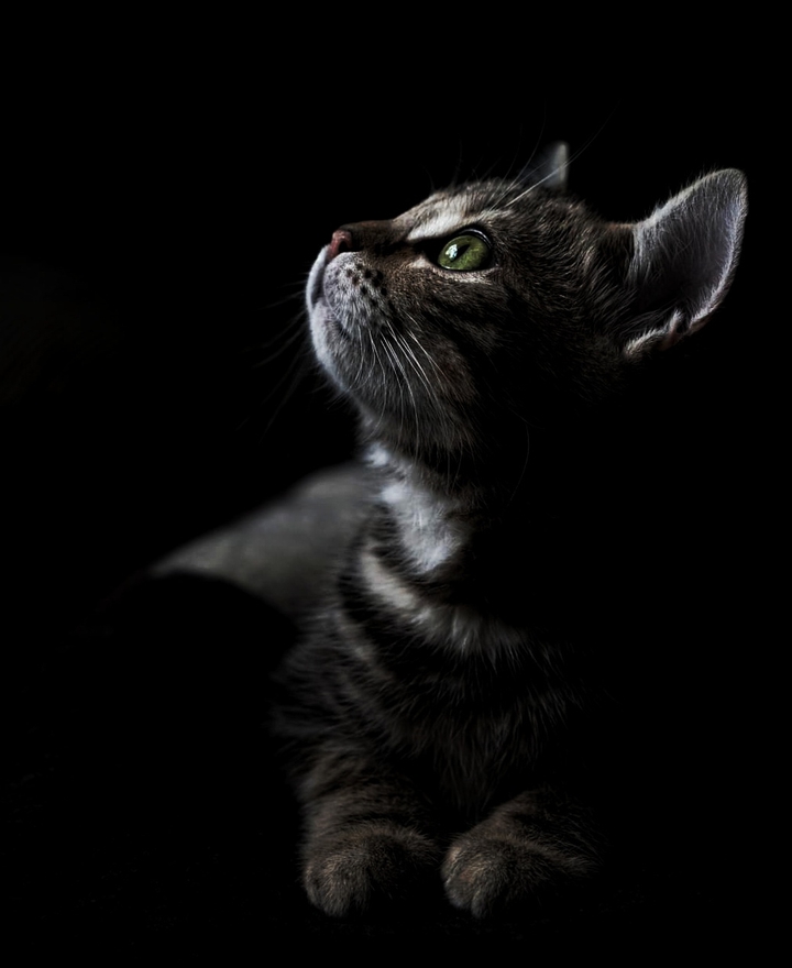 https://www.instagram.com/bakos_balint_photo/