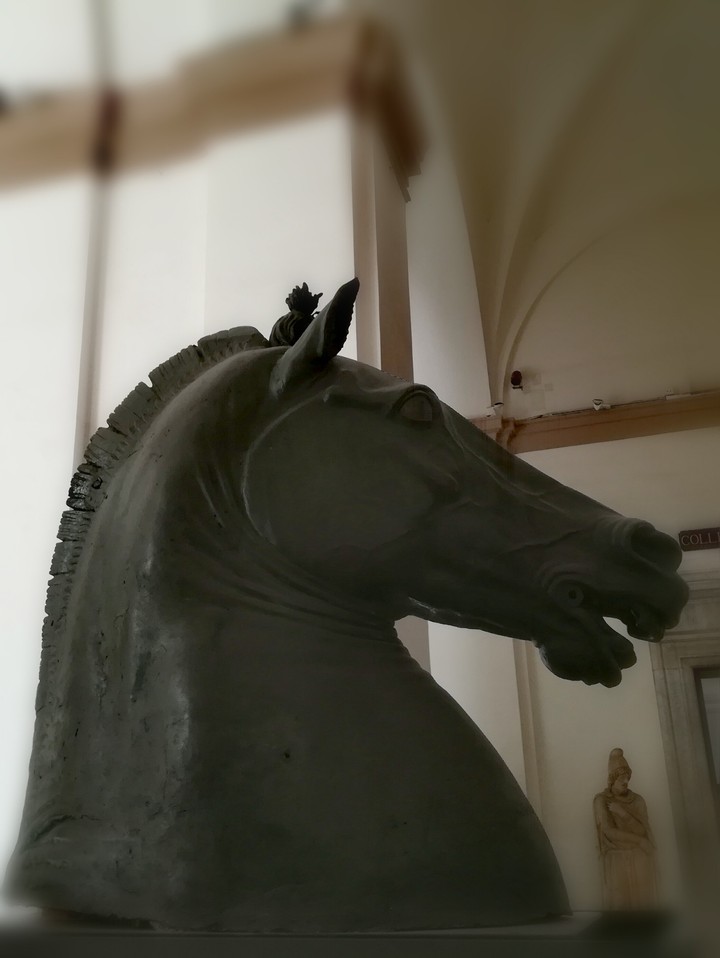 Donatello, Horse head (XV c.)