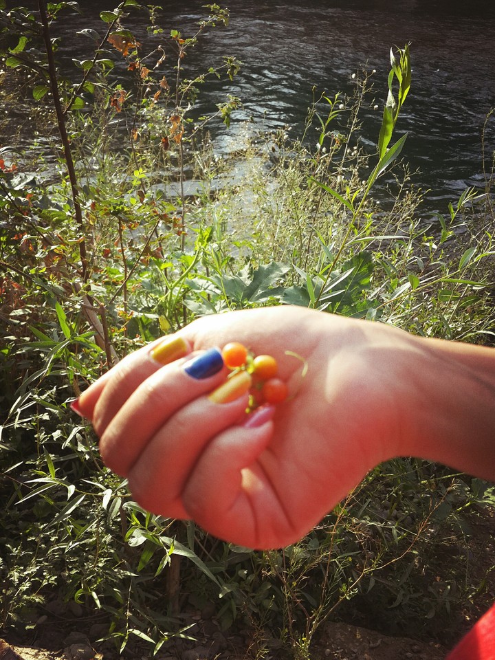 colorful