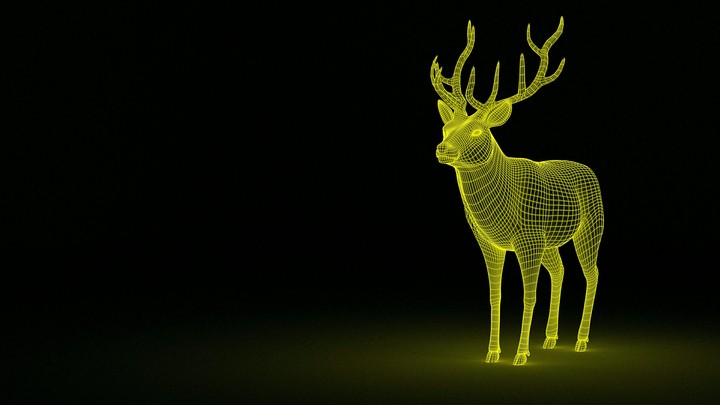 deer