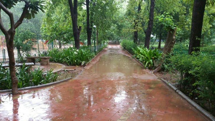 it's a rainy day