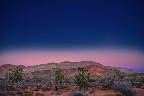 Desert Sunset