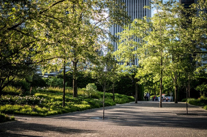 park in chicago