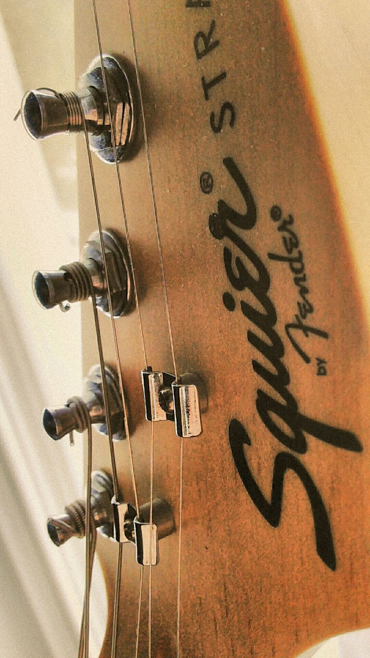 Fender