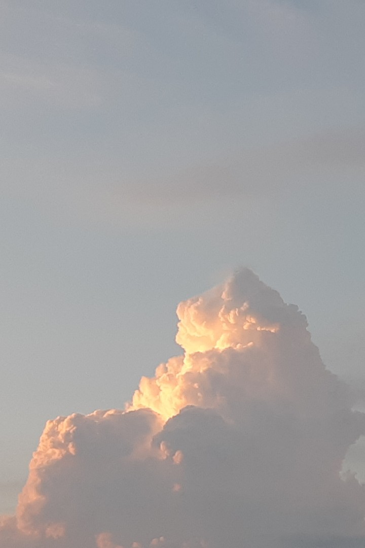 Can you see Mufasa?