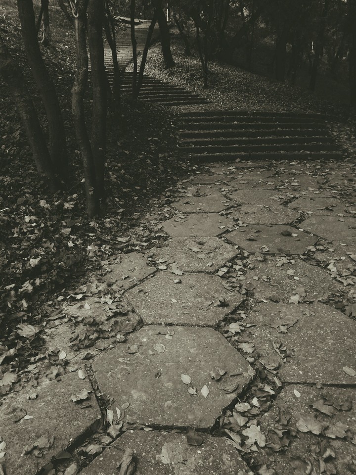 park