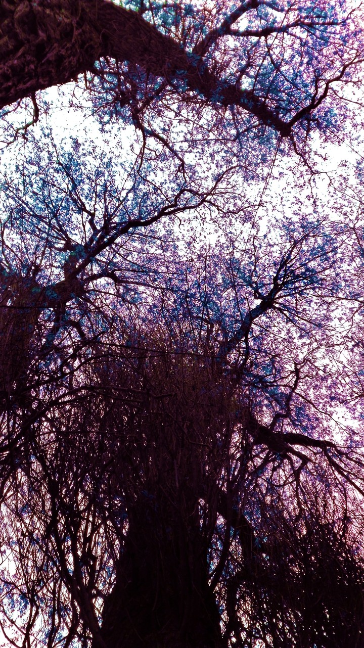 Looking up