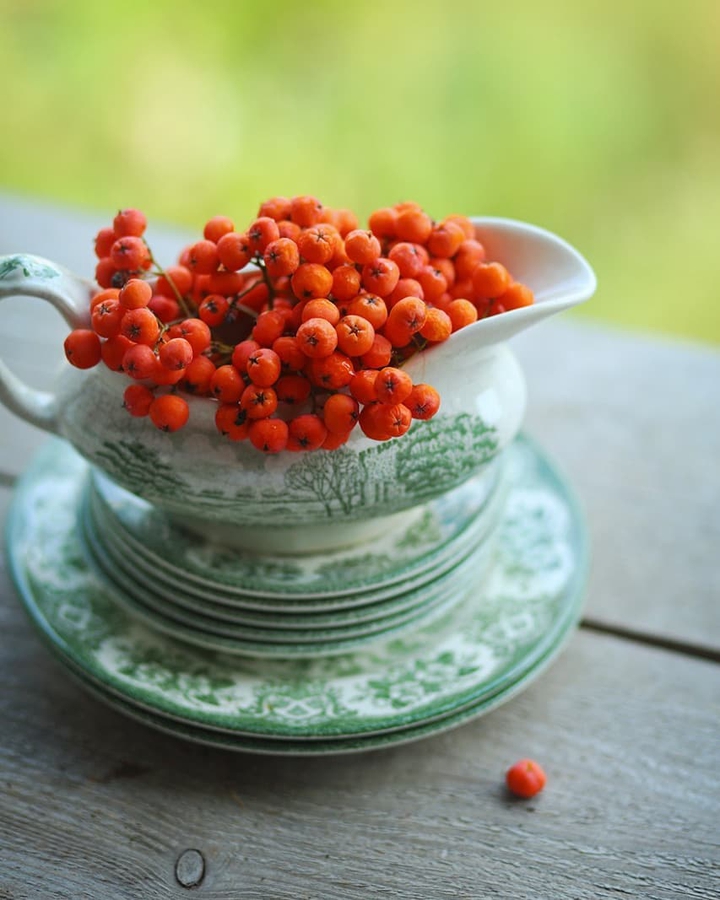 rowanberry
