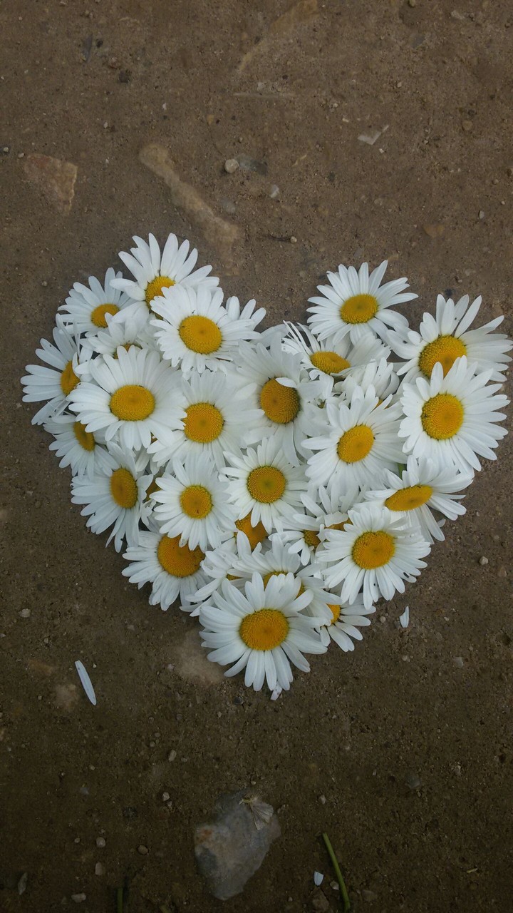 I love you