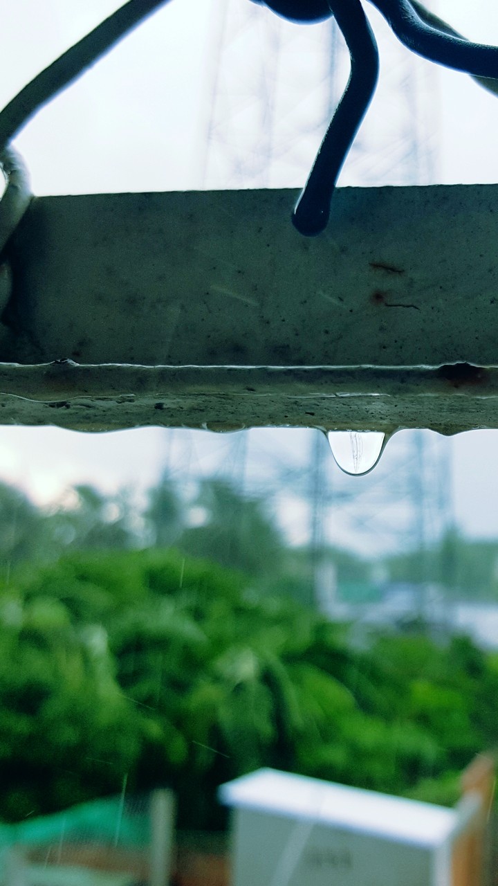Do you see a little thing?