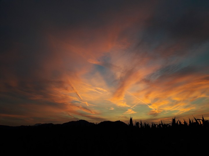 nature paints again