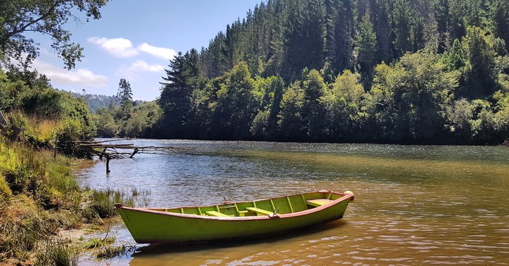 Río Tornagaleones, Valdivia. Chile