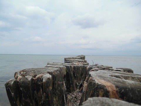 steg