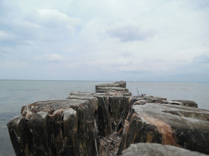 steg
