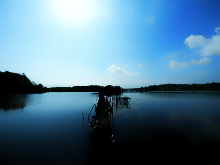 Pond at dusk