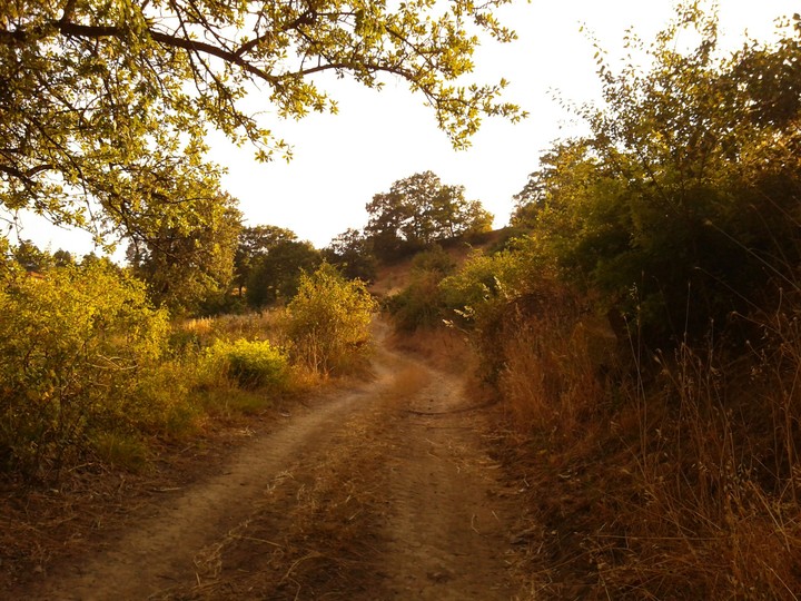Road