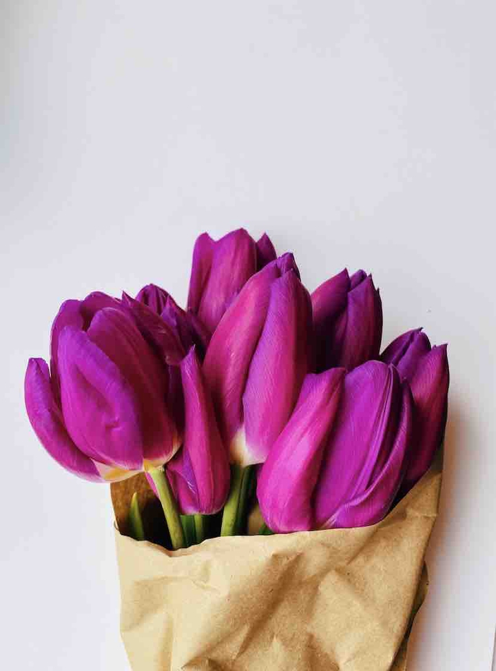 Tulips